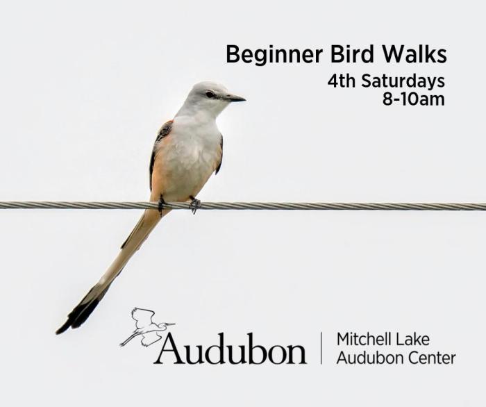 Bird Walks for Physical Health: A Springtime Exercise