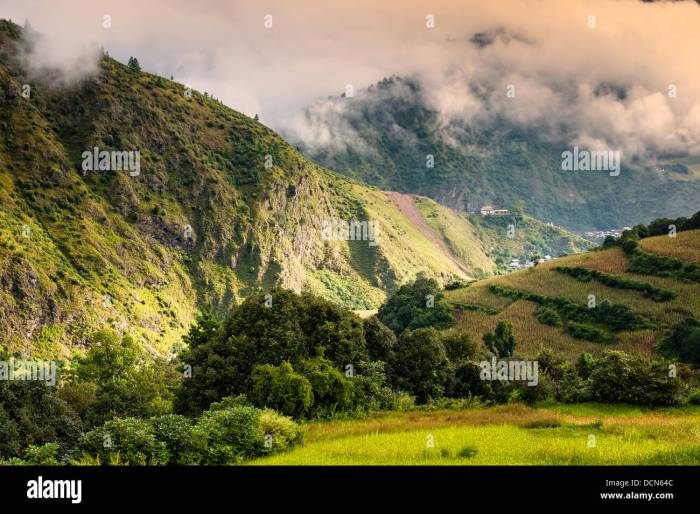 Soar above the mountains in arunachal pradesh