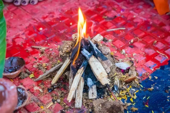 Hindu havan kund alamy indian stock homa sanyasi praying priests rva fire two