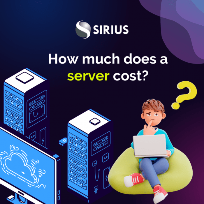 Media convergence server cost