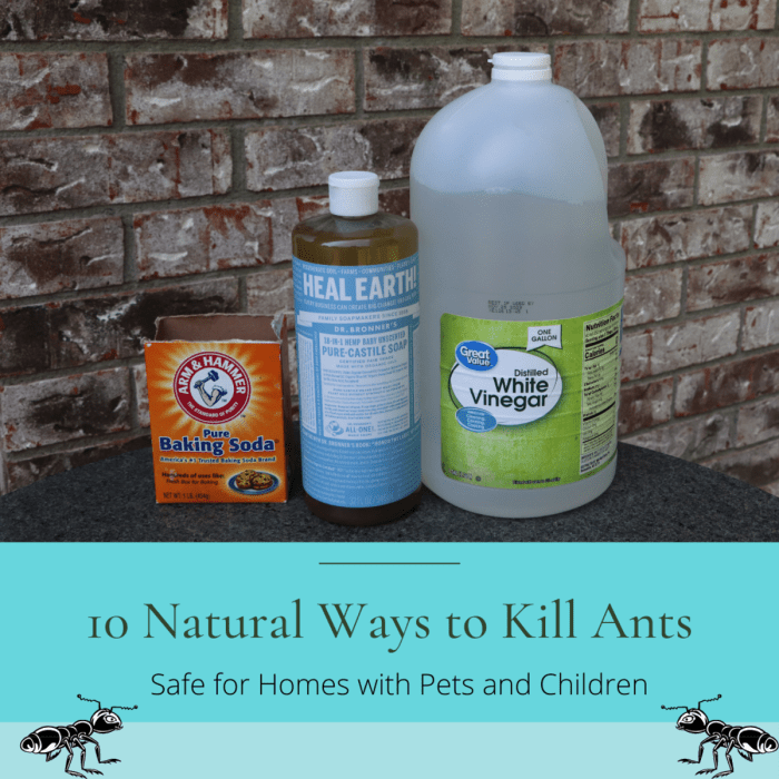 Basic DIY repellent recipes