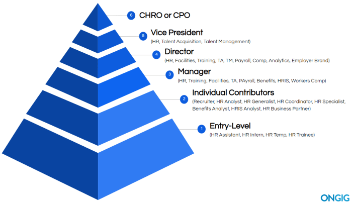 Analyst hierarchy business career designation analysis data research hierarchystructure level management engineering article