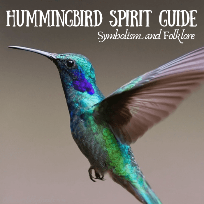 Hummingbird spirit animal animals birds