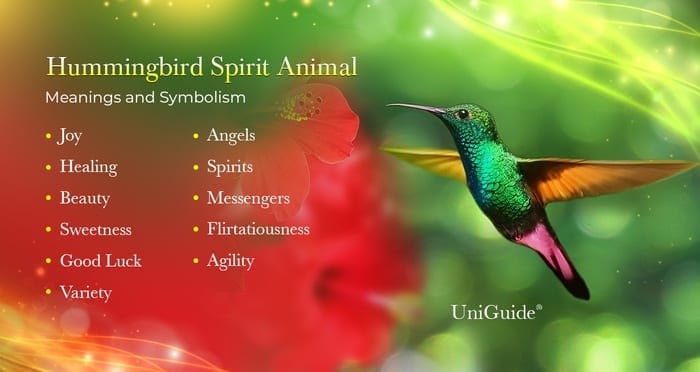 Hummingbirds as Symbols of Vitality and Energy