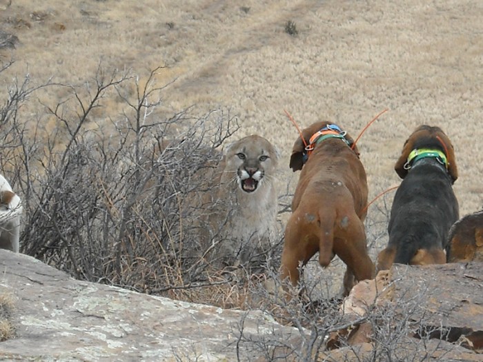 Hunts carr huntwithcody jocelyn