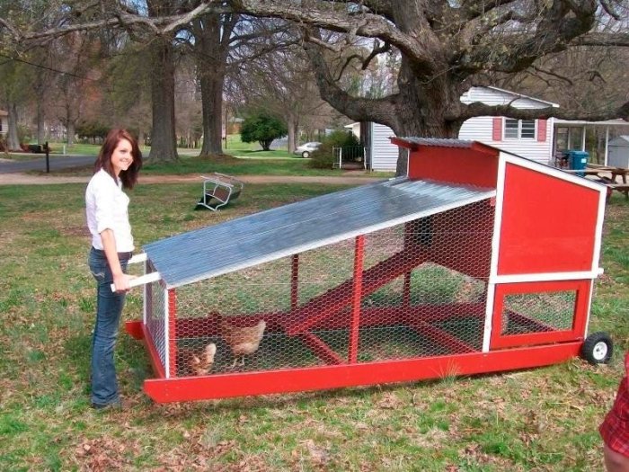 Chicken coops on wheels