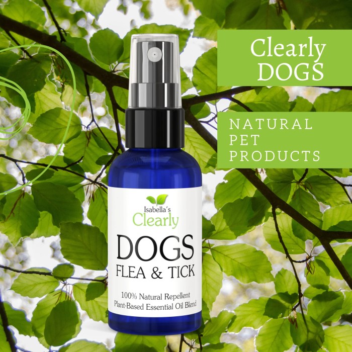 The use of essential oils in pet flea and tick medications for bug control