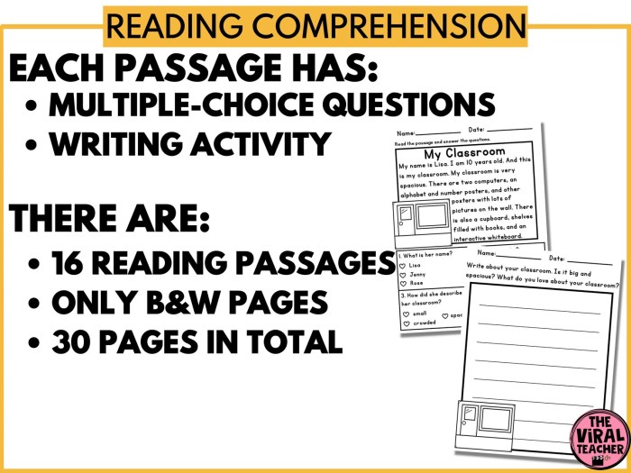 Mini Exams for Reading Comprehension