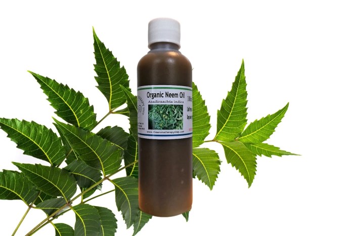 The use of neem oil as a natural repellent