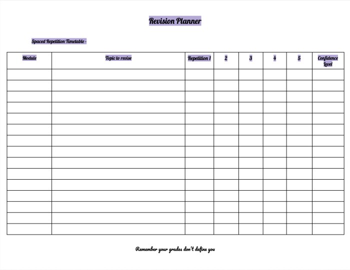 Mini Exams for Quiz Spaced Repetition Tools