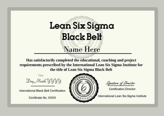 Belt sigma six lean certification training green course australia belts online signature upgrade yellow series why certified investment good salary