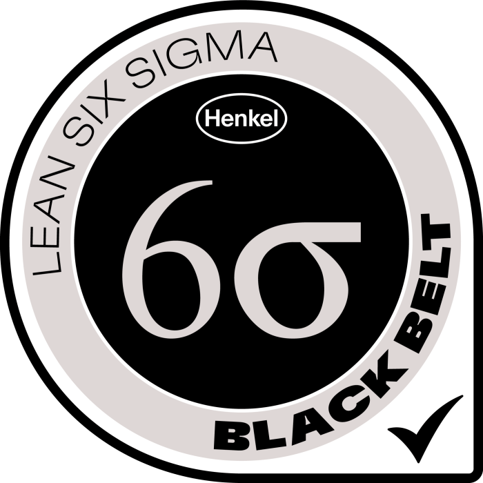 Lean six sigma dfss master black belt logo