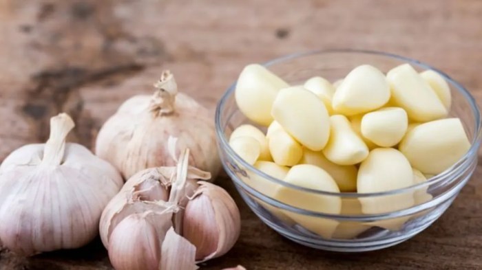 The use of garlic as a natural repellent