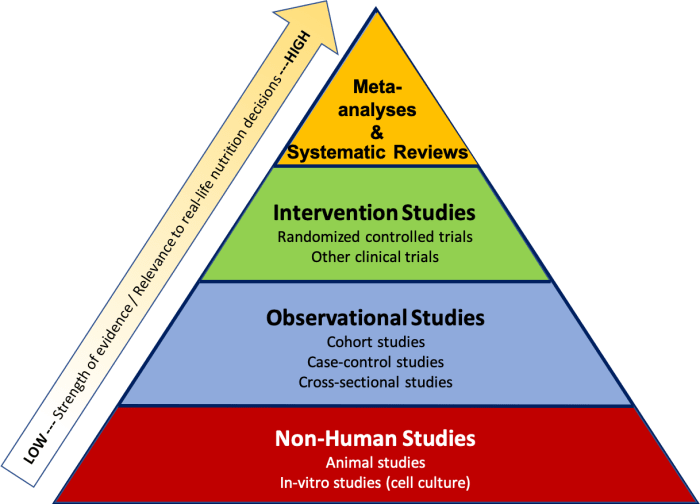 Scientific Research and Studies