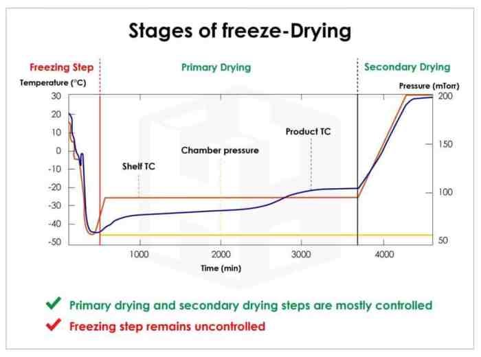 Freeze Drying Candy: A Chemistry Lesson