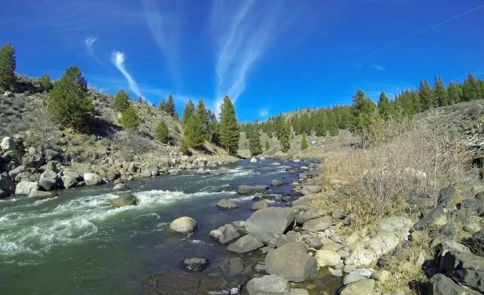 Floating truckee river live cam