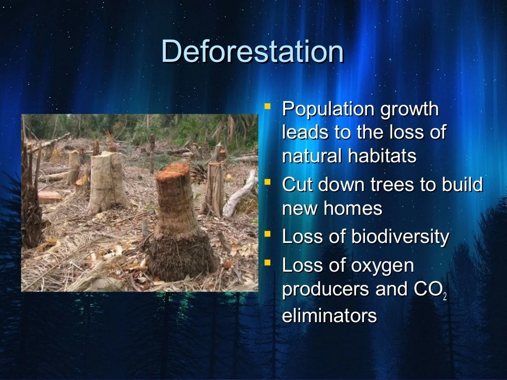 Harmful destroy pollution deforestation