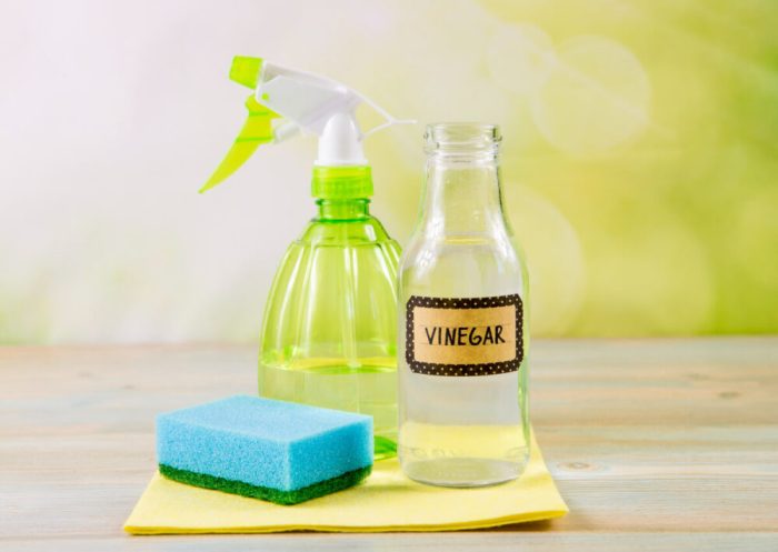 The use of vinegar to deter ants