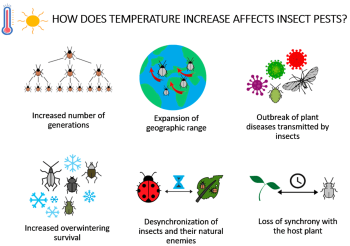 The impact of climate change on bug populations and behavior