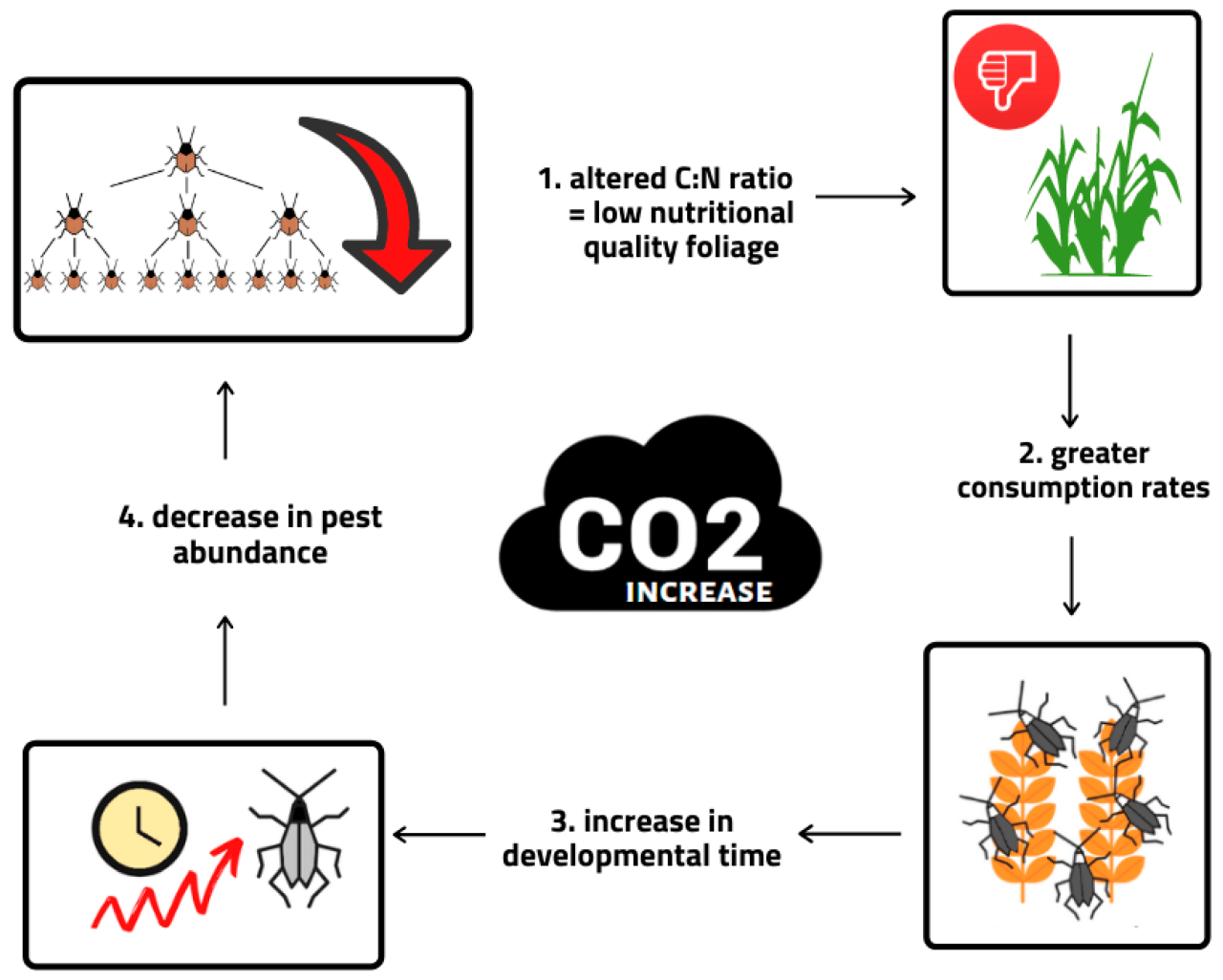 The impact of climate change on bug populations and behavior