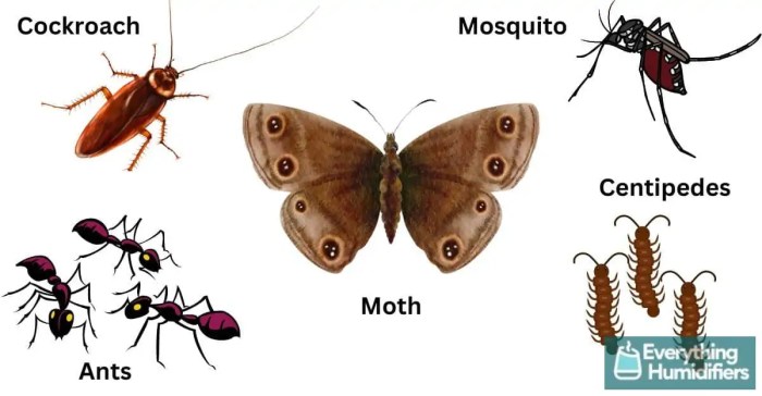 Factors influencing bug attraction (temperature, humidity, etc.)