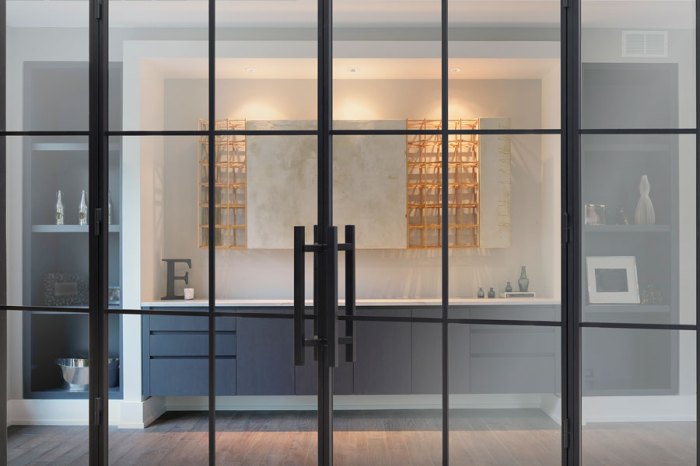 Steel interior doors glenview collection haus glass extensive offers now