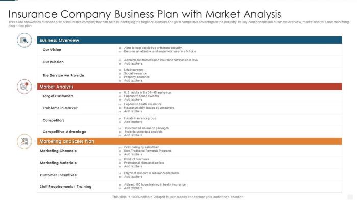 Exemple business plan assurance pdf