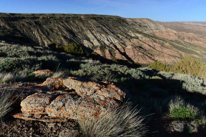 Little mountain park mountaineers hike day activities