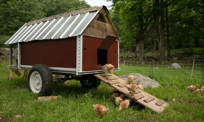 Chicken house on wheels