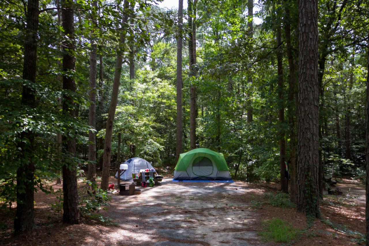 Campfeenonelec-s2-we-nr pocomoke river campground