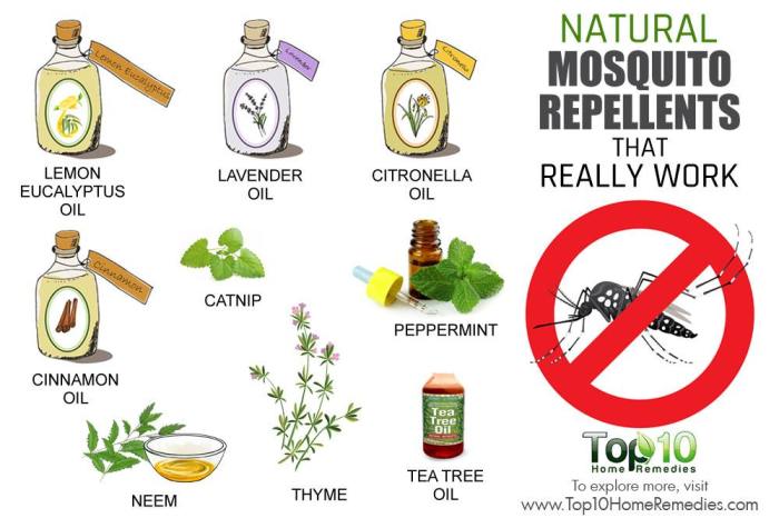 The effectiveness of natural repellents for mosquitoes