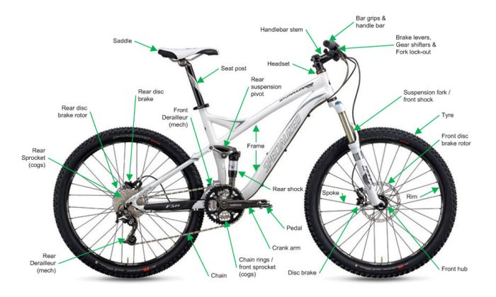 Mountain bike crank