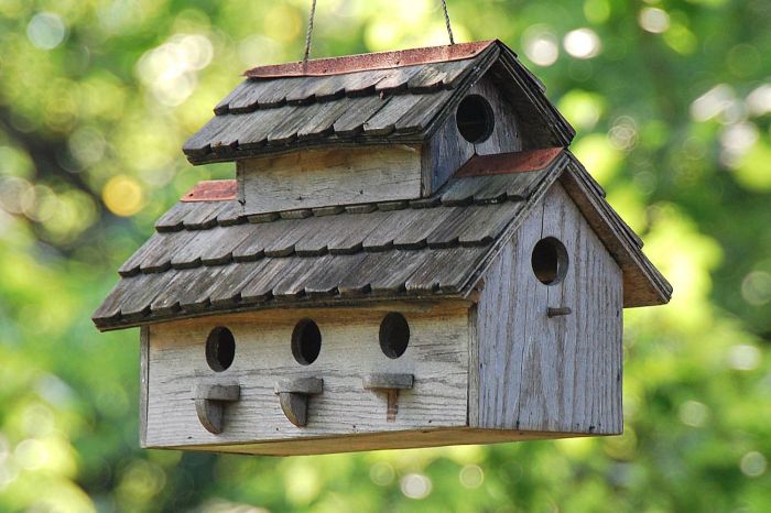 Birdhouse Building: Creating Homes for Spring Birds