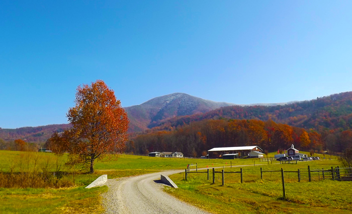 Wears valley smoky mountains