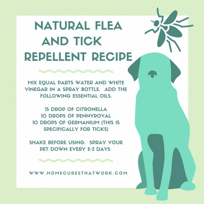 The use of essential oils in pet flea and tick treatments for bug control