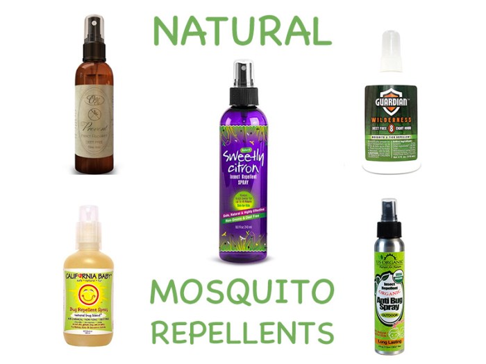 The future of research on natural bug repellents