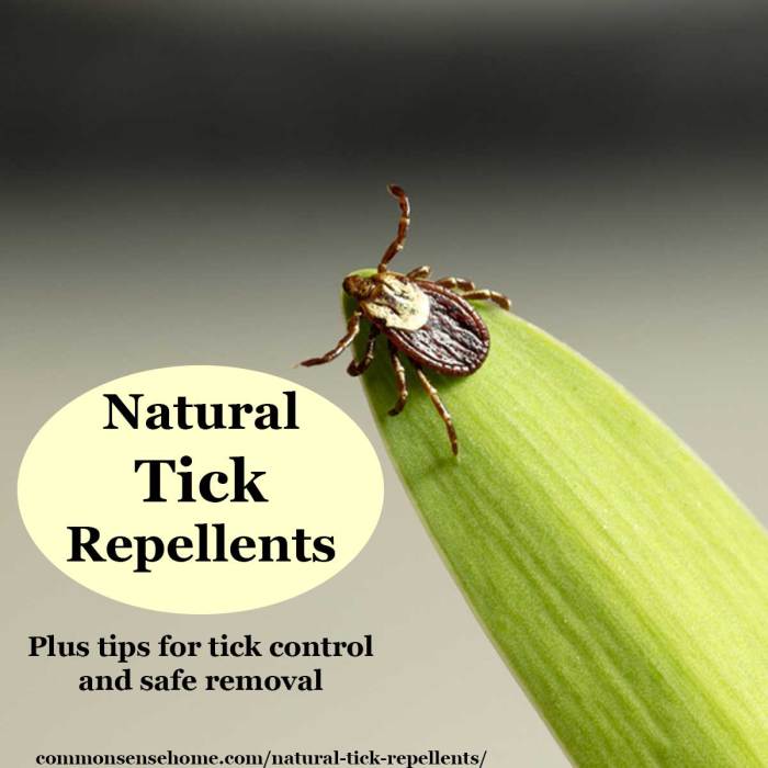 The effectiveness of natural repellents for ticks