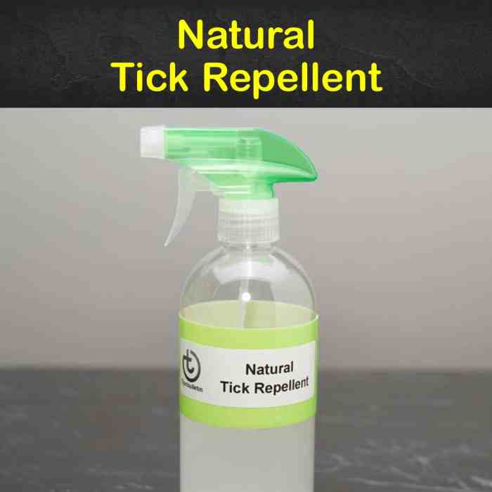 Tick repellent astuces healthline tomsguide