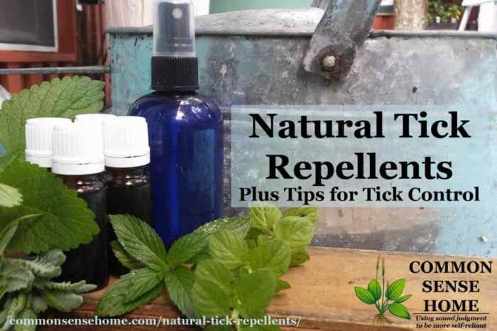 Tick natural repellent repellents deer humans ticks recipe posts related site oils essential deterrent