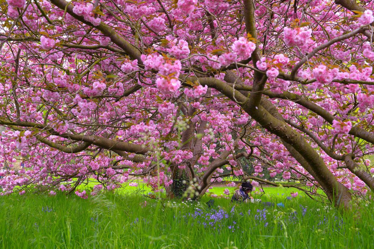 Spring equinox francois marit xavier holi traditions celebrations