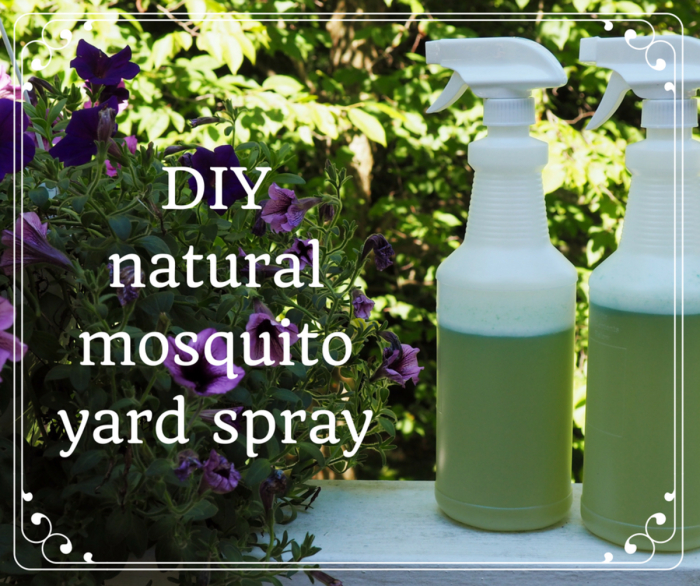 Natural Repellent Alternatives