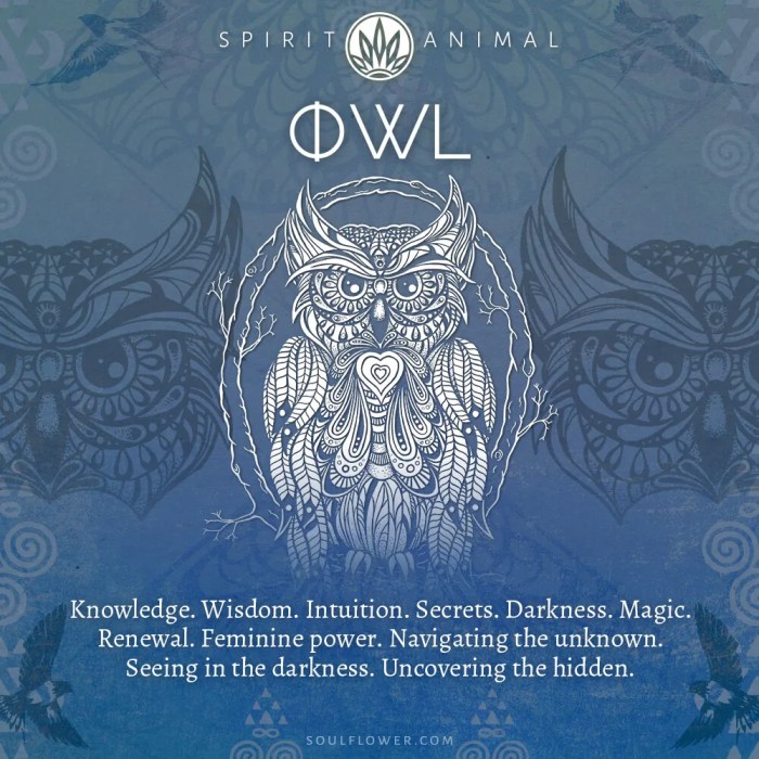 Wisdom greek owl athena goddess candle mystery ancient symbol sacred bird