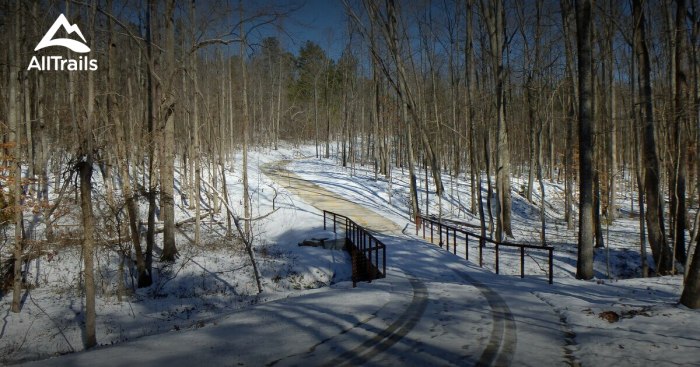 Panola mountain state park georgia