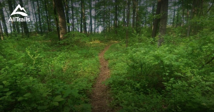 Cushetunk mountain preserve