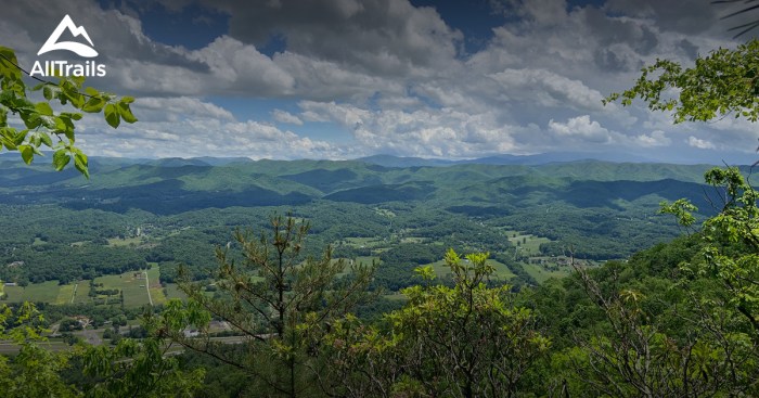 Buffalo mountain park tn