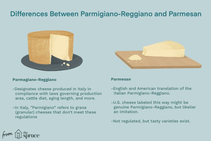 Cheese parmesan parmigiano reggiano grated james use italy types vs them photograph microplane getty pasta life