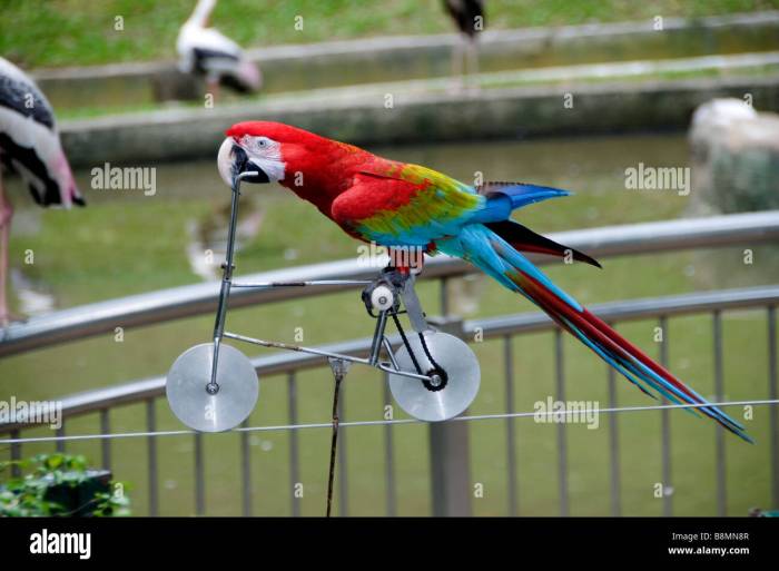 Birds and Cycling: A Springtime Ride