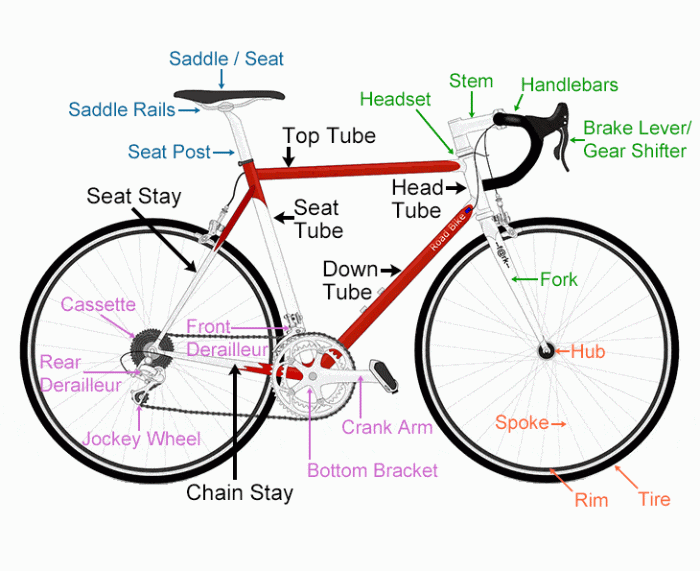 Mountain bike crank