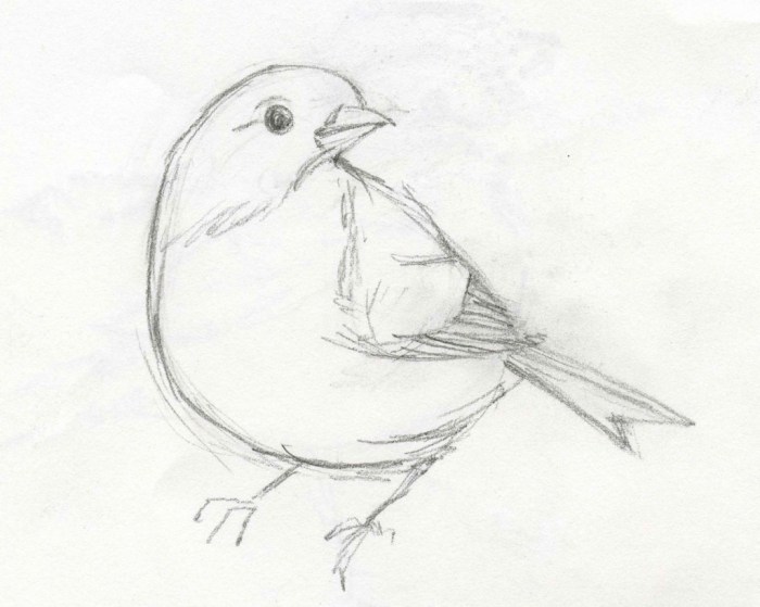 Birds in Drawing: A Springtime Sketch