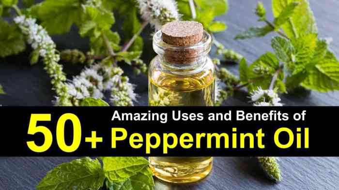 Peppermint essential growth